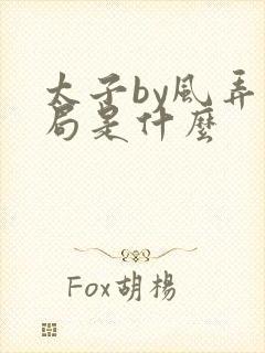 太子by风弄结局是什么