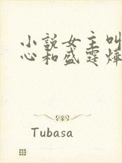 小说女主叫初之心和盛霆烨封面