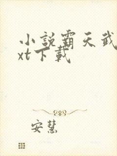 小说霸天武魂txt下载