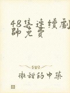 48集连续剧少帅免费