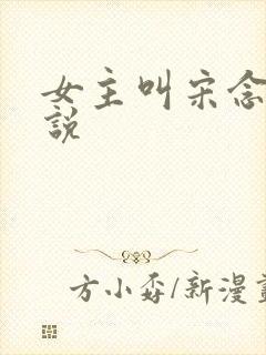 女主叫宋念的小说