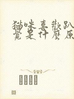 猫咪喜欢趴着睡觉是什么原因