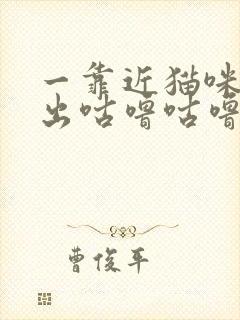 一靠近猫咪就发出咕噜咕噜的声音