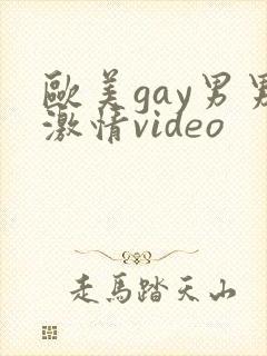欧美gay男男激情video封面