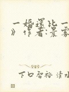 一婚还比一婚高》作者:晨雾的光封面