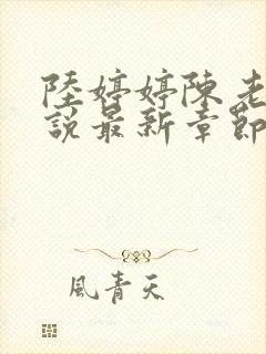陆婷婷陈老伯小说最新章节更新