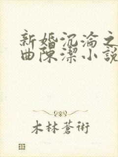 新婚沉沦之三部曲陈洁小说