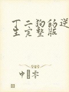 丁二狗的逆袭人生完整版