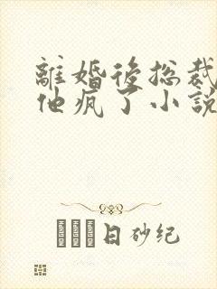 离婚后总裁前夫他疯了小说免费阅读