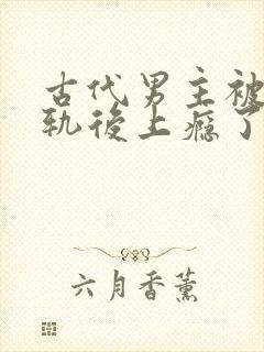 古代男主被迫出轨后上瘾了免费阅读封面