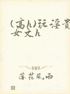 (高h)玩淫贵女文h