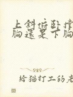 上斜俯卧撑练上胸还是下胸封面