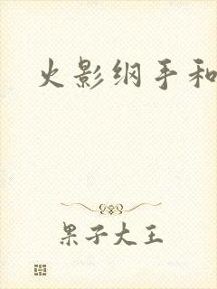 火影纲手和鸣人