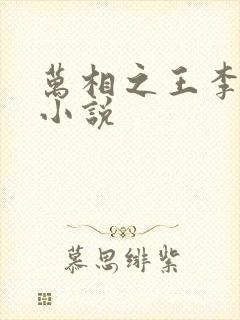 万相之王李洛的小说