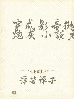 穿成影帝抛弃的炮灰 小说免费阅读