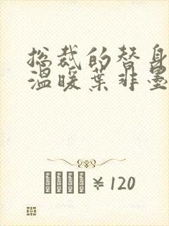 总裁的替身前妻温暖叶非墨