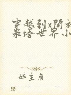 穿越到x开放的米塔世界小说