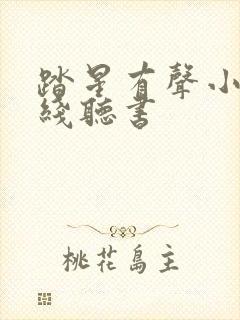 踏星有声小说在线听书