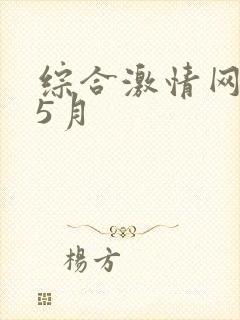 综合激情网激情5月