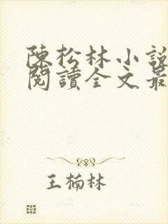 陈松林小说免费阅读全文最新章节