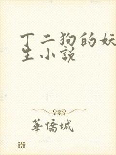 丁二狗的妖孽人生小说封面