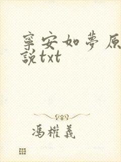 宁安如梦原著小说txt封面