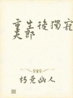 重生后独宠哑巴夫郎封面