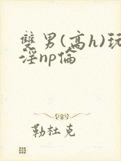 双男(高h)玩淫np伦