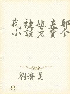 我被姐夫那些年小说免费全文阅读