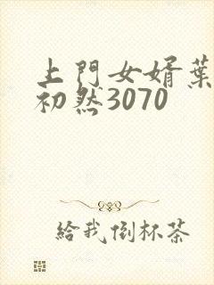 上门女婿叶辰萧初然3070