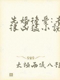 先婚后爱:老公很凶猛小说