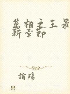 万相之王最新更新章节