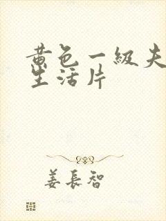 黄色一级夫妻性生活片