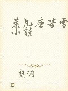 叶凡唐若雪医婿小说封面