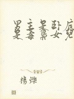 男主是卧底女主是毒枭女儿的小说