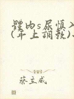 体内s尿慎入h(年上调教)小说