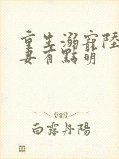 重生溺宠陆少甜妻有点萌