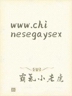 www.chinesegaysex封面