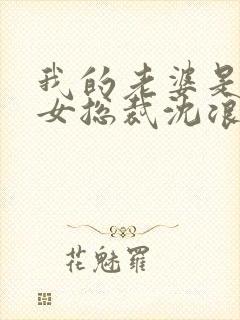 我的老婆是冰山女总裁沈浪免费