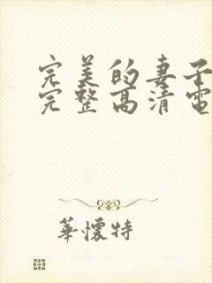 完美的妻子免费完整高清电视剧在线看