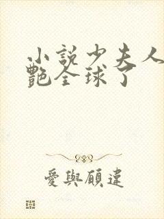 小说少夫人她惊艳全球了