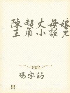 陈超丈母娘赵悦主角小说免费阅读