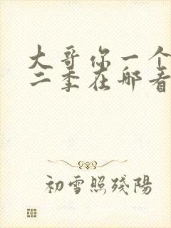 大哥你一个人第二季在哪看