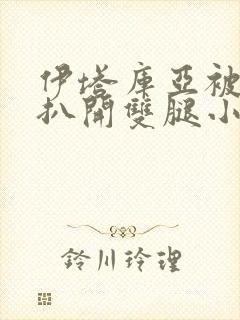 伊塔库亚被强行扒开双腿小说