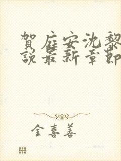 贺庭安沈黎初小说最新章节更新内容封面