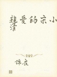 亲爱的宋小姐高清