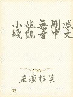 小姐无删减版在线观看中文歌词