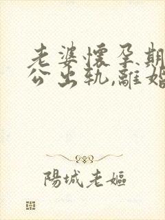 老婆怀孕期间老公出轨,离婚怎么判