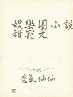 娱乐圈小说推荐甜宠文