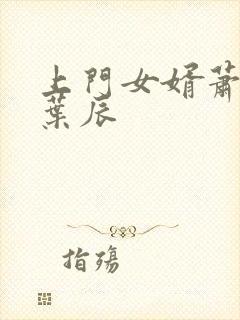 上门女婿萧初然叶辰